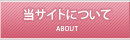 ���T�C�g�ɂ���