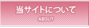 ���T�C�g�ɂ���